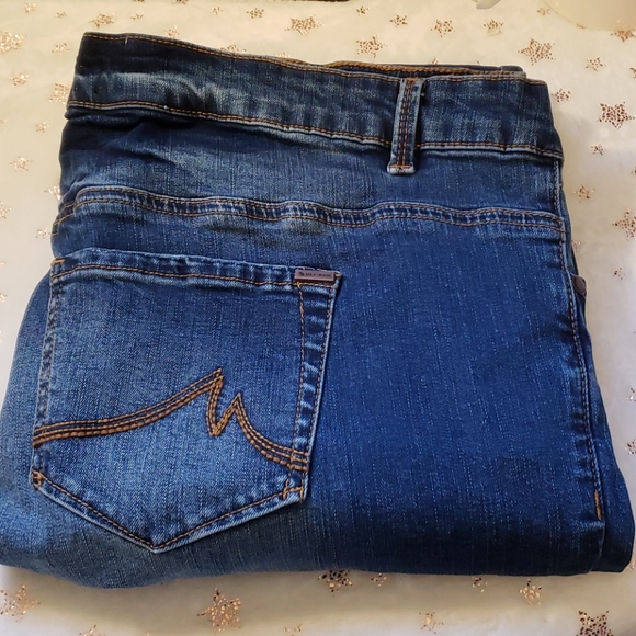 Max Jeans Denim - Plus Size Max Skinny Jeans